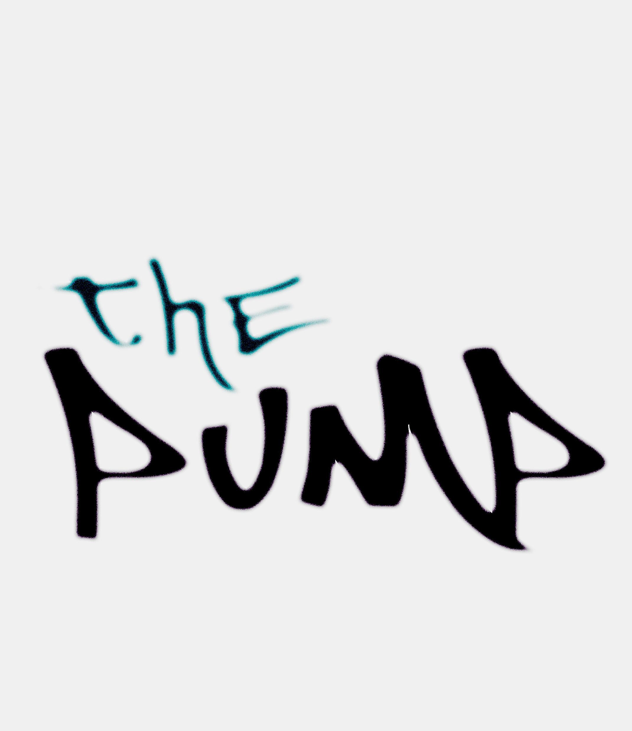 THE PUMP PROJECT