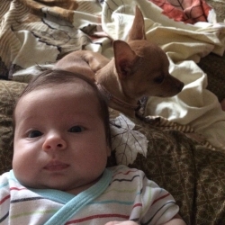 Евангелина Бадулина Евангелина Бадулина