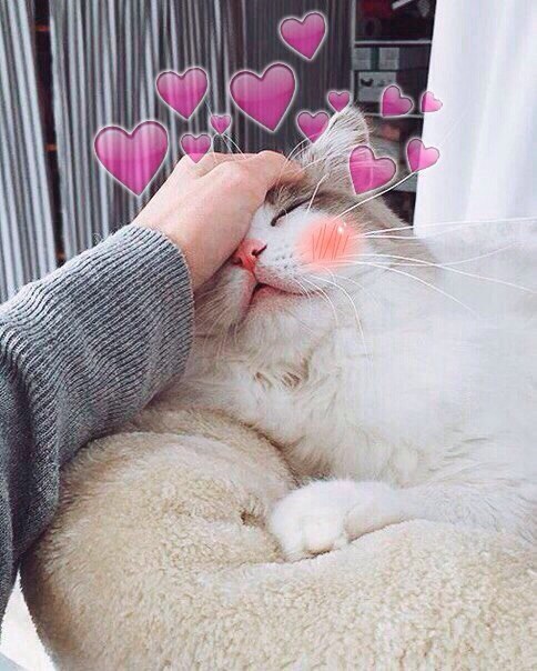 Эверт Елена