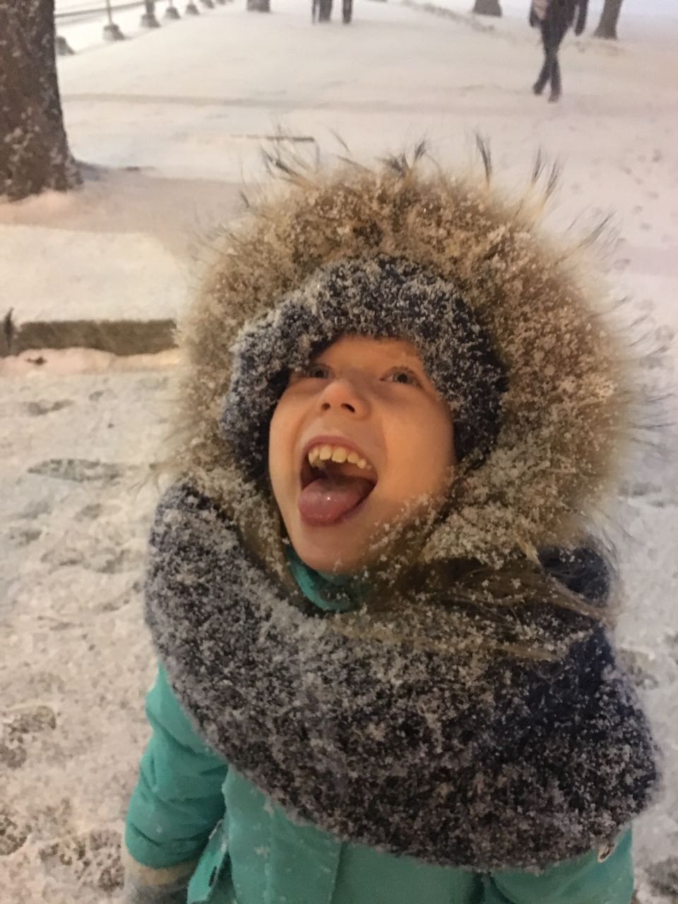 Богданова Анастасия