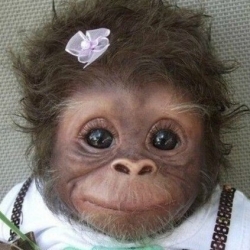 акулов вениамин акулов вениамин