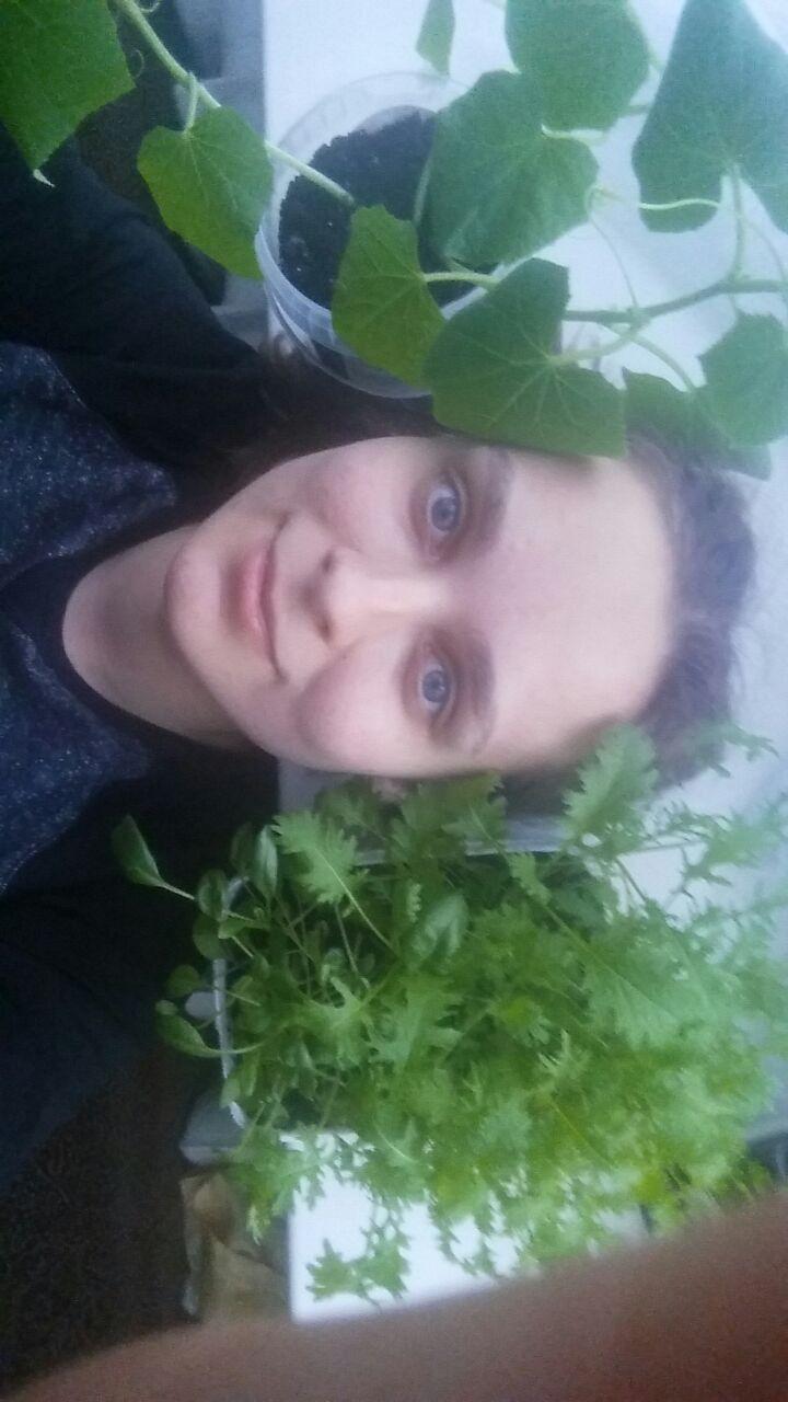 Романова Анна Романова Анна