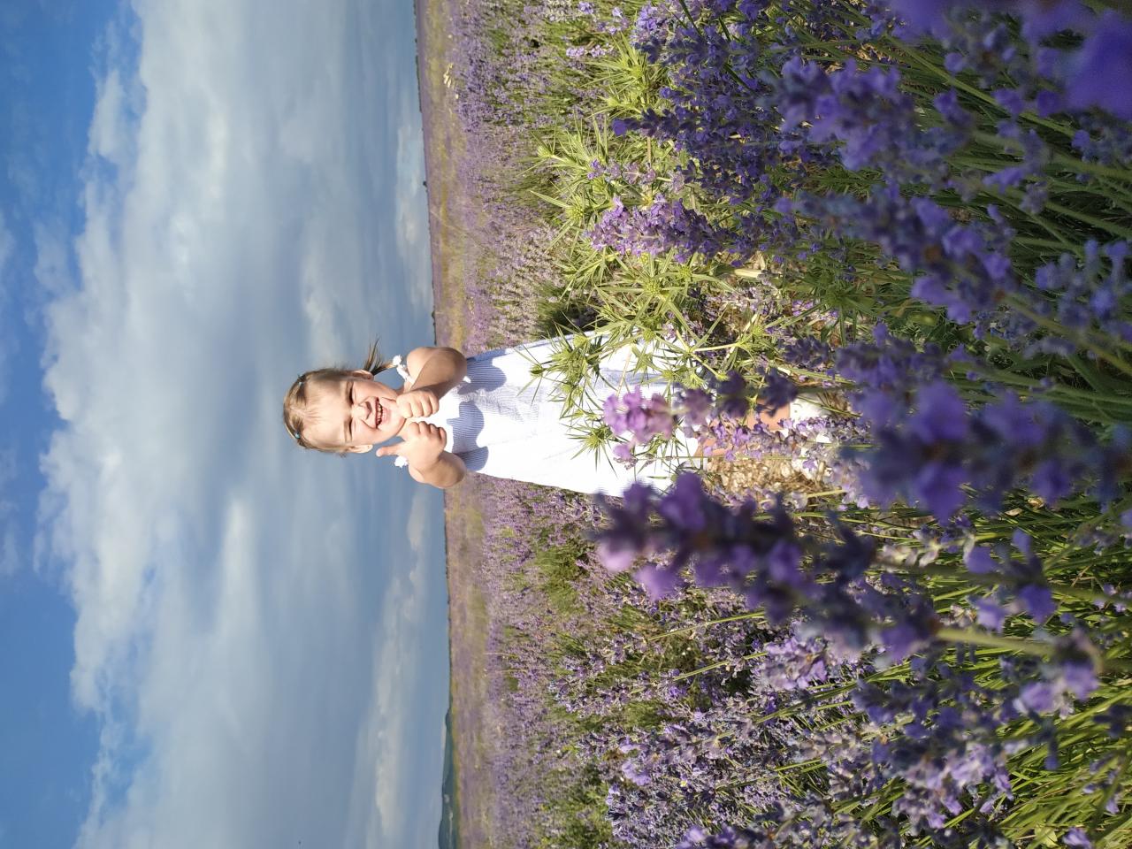 Гарбузова  Валерия