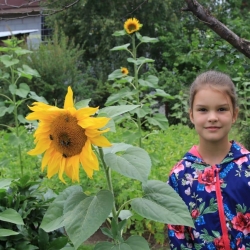 Силина Анна Силина Анна