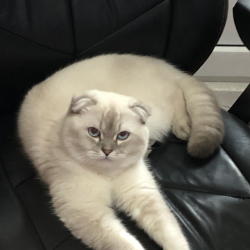 Андреева Марина Андреева Марина