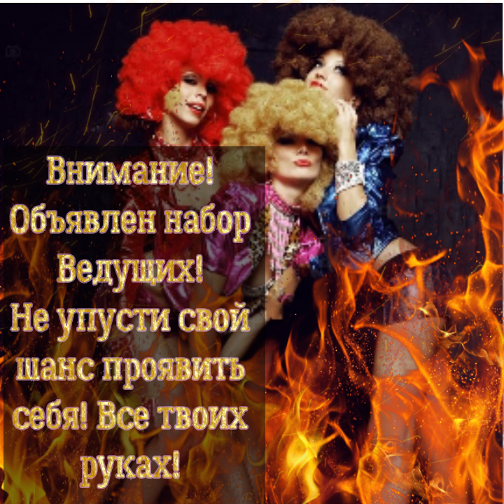 MYSTIC FOX MYSTIC FOX