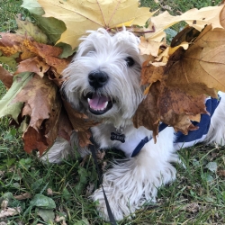 Валеев Тимми Валеев Тимми