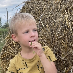 Ефремов Арсений Ефремов Арсений