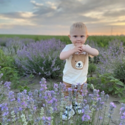 Шугаев Пётр Александрович Шугаев Пётр Александрович