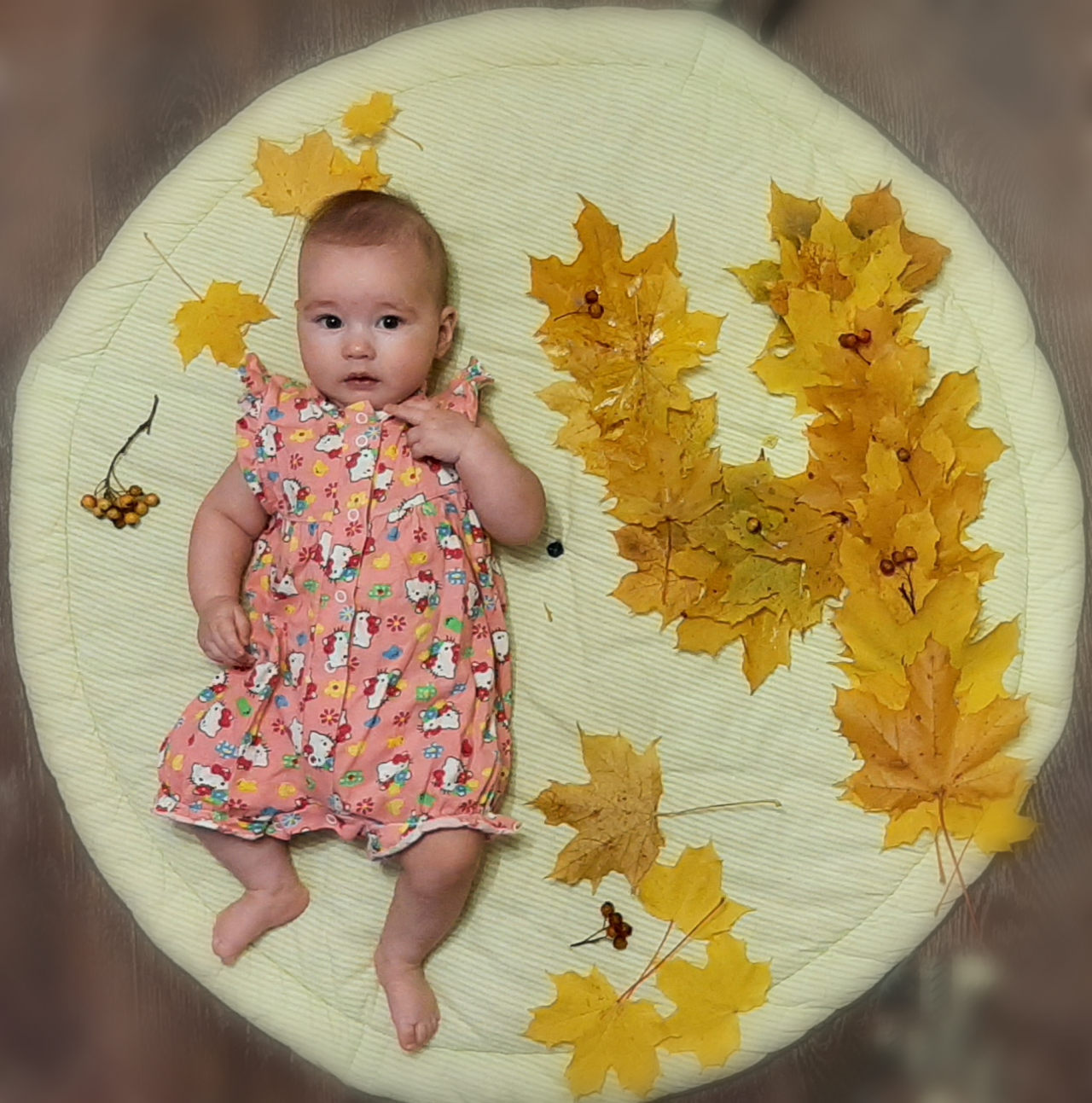 Петрина Анна