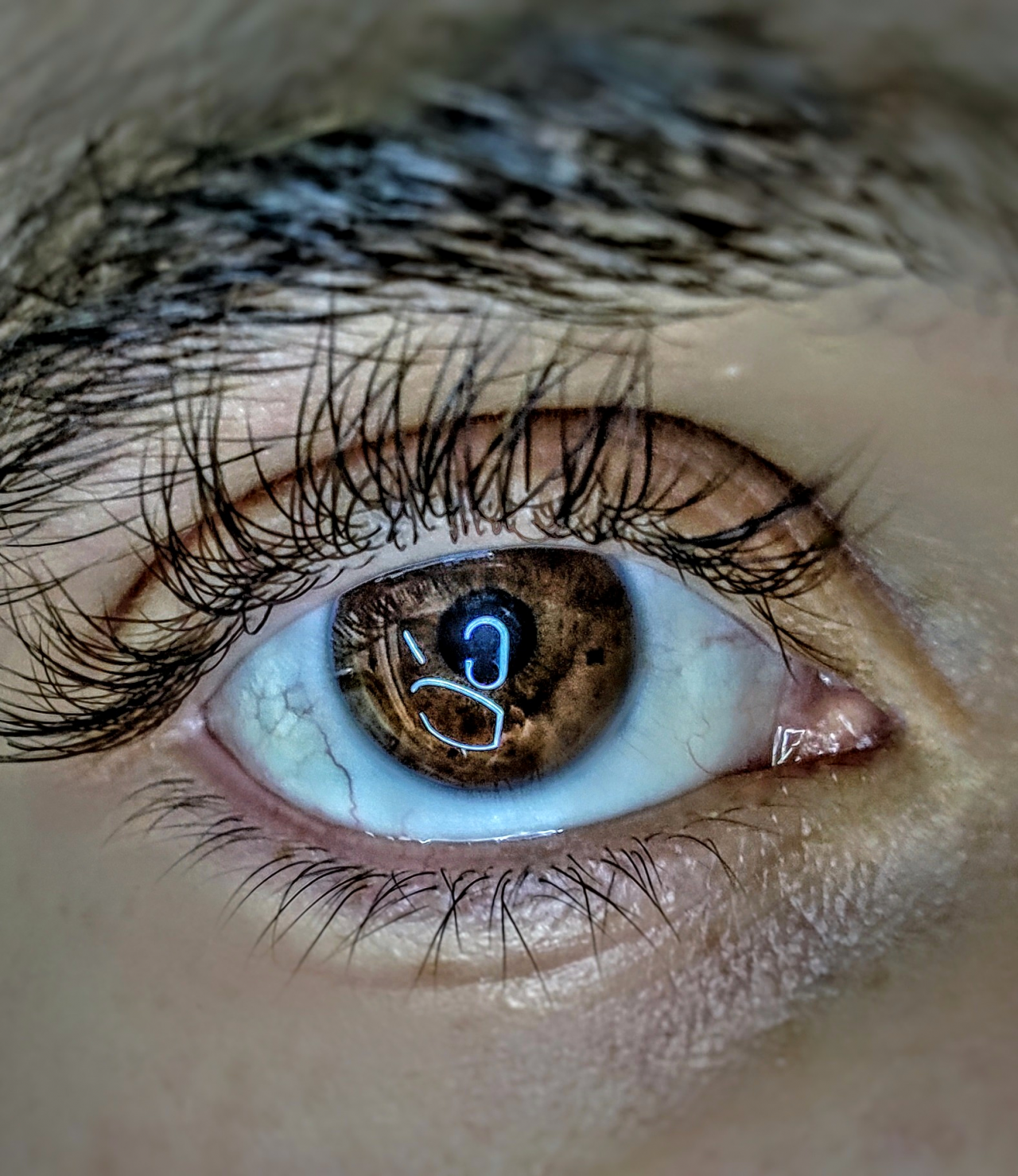 Сеитов Владислав 