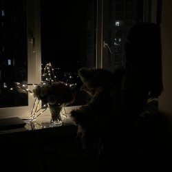 София Кулаева София Кулаева