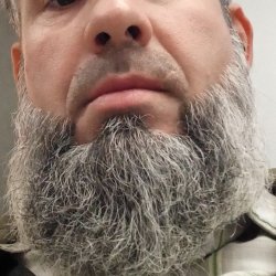 Абдулкадыров Альви 