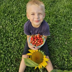 Элиаров Даниил