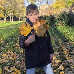 Михайлов Андрей