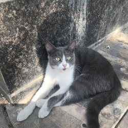 Бетельгейзе 