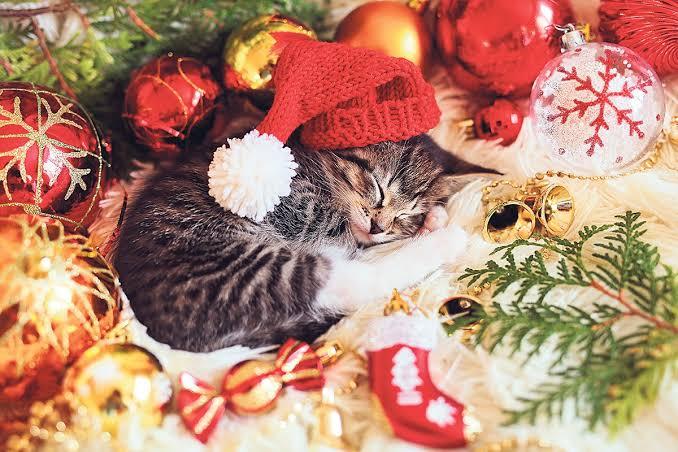 Некоммерческий безымянный короткометражный фильм про новый год