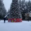Гехов Тимур