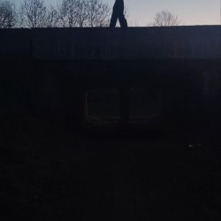 Латуговская ксения
